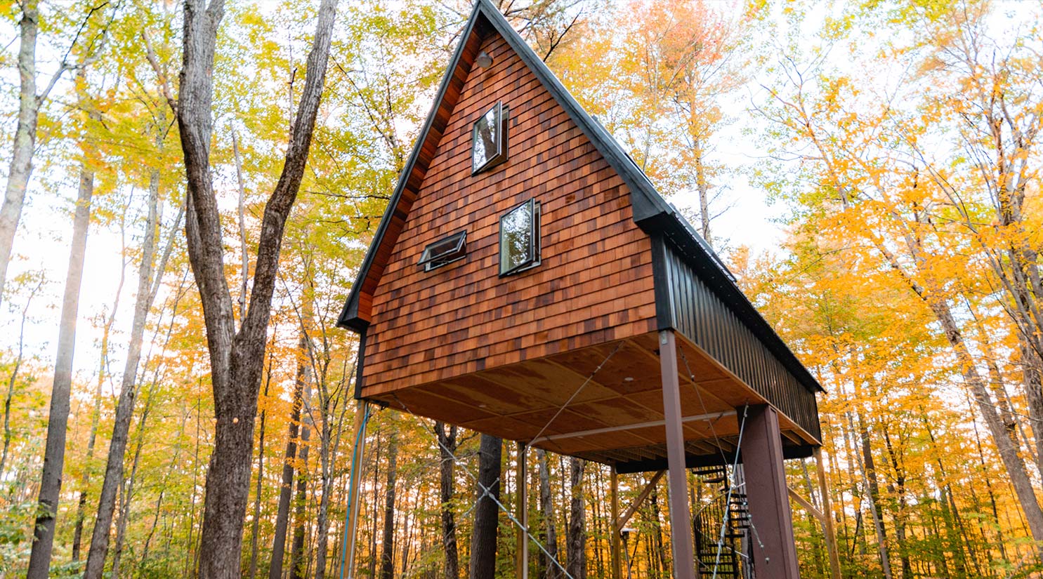 Forest Loft Forest Loft